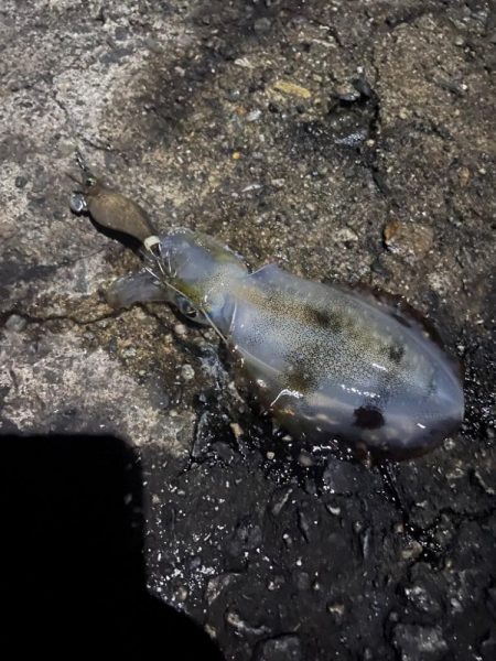 濁りひどいし　渋かった