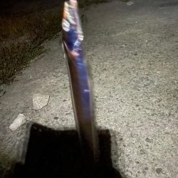 今シーズン太刀魚釣行#2