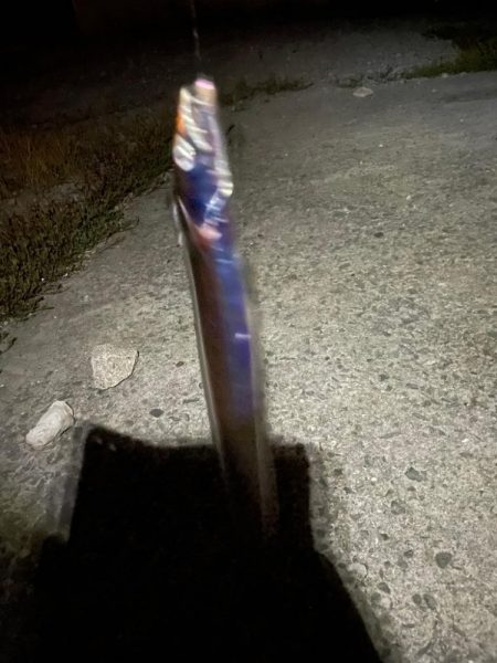 今シーズン太刀魚釣行#2