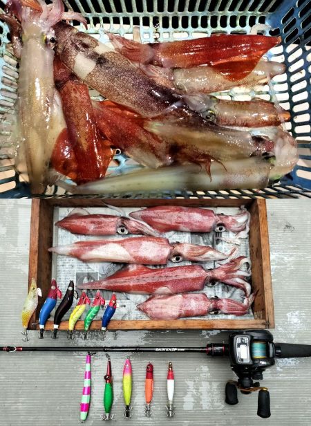 敦賀沖マイカ（剣先イカ）釣り！