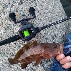 現地でラインを移植することにｗ