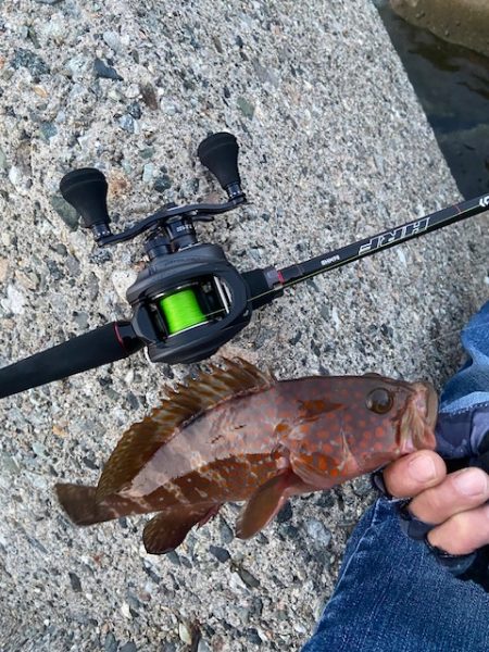 現地でラインを移植することにｗ