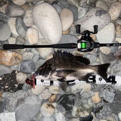 福井が調子悪いので富山へ。。。。