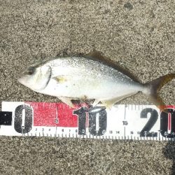 猛暑日のなぶら