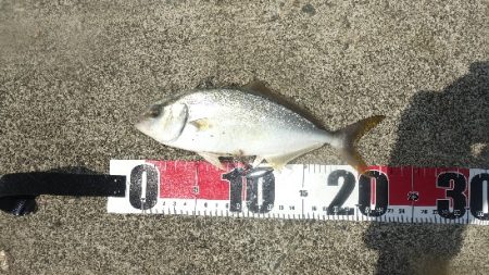 猛暑日のなぶら