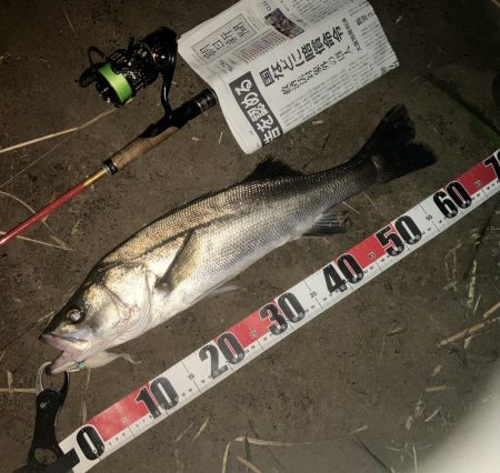 やはり鮎についてましたねーぇ