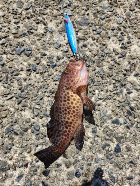 なかなかの引きでした