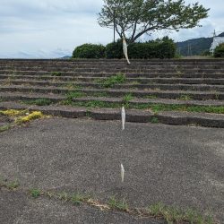 はまなすパーク海水浴場でちょい投げ