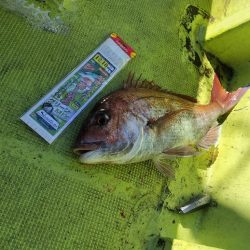 アンダーベイト大会参加