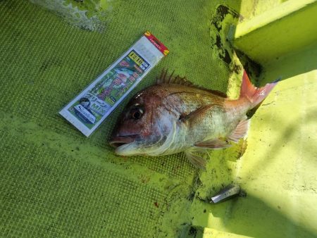 アンダーベイト大会参加