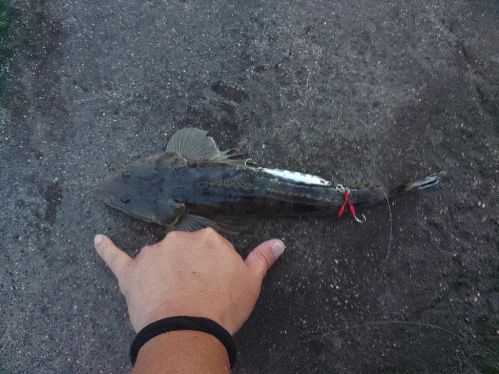 久しぶりの仕事前の朝練成功♪