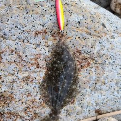 スマホのカメラに