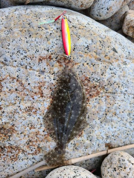 スマホのカメラに