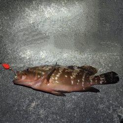 下手くそすぎる