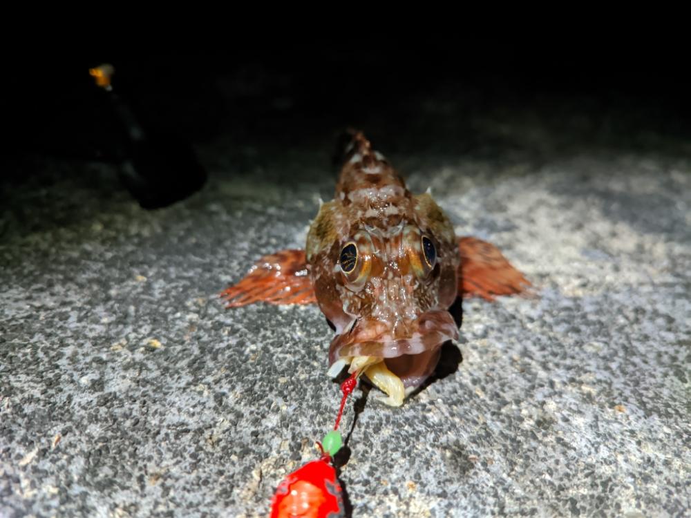 風が強い日はだめ