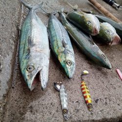 プチsalt water game