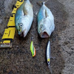 プチsalt water game