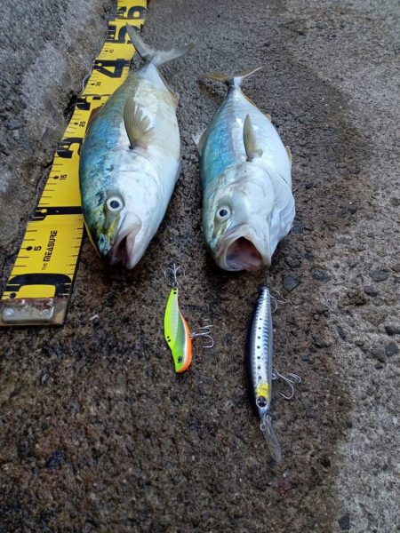 プチsalt water game