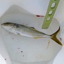 まだまだ夏を引きずってる感じ！