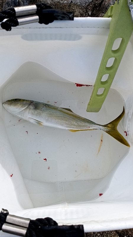 まだまだ夏を引きずってる感じ！