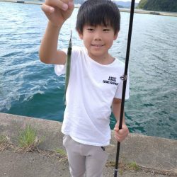 釣ってみたかったサヨリ