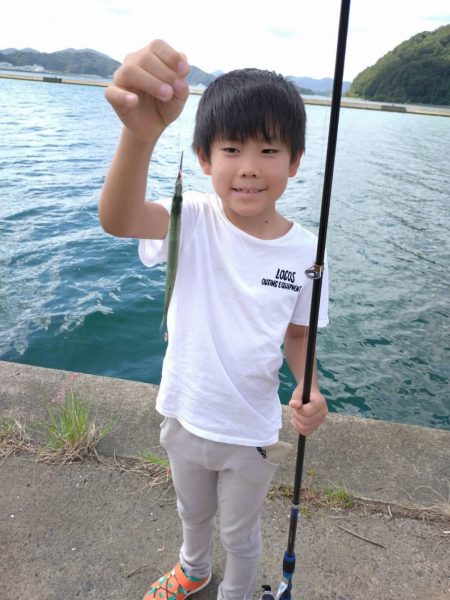 釣ってみたかったサヨリ