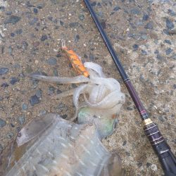 曇時々雷雨エギングIN対馬