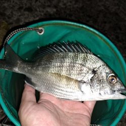 台風あとの濁りを攻める