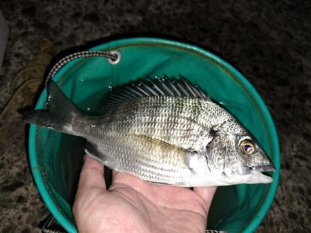 台風あとの濁りを攻める