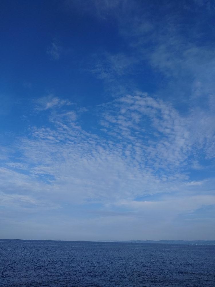 ひげ生えてんじゃん…おもしれー魚(おんな)