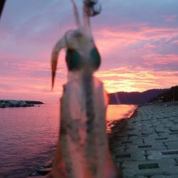 早朝短時間釣行