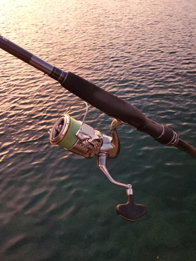 朝マズメ タチウオ好調