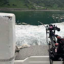 タチウオテンヤで大漁でした