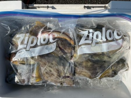 今季のカワハギ釣り開幕戦です