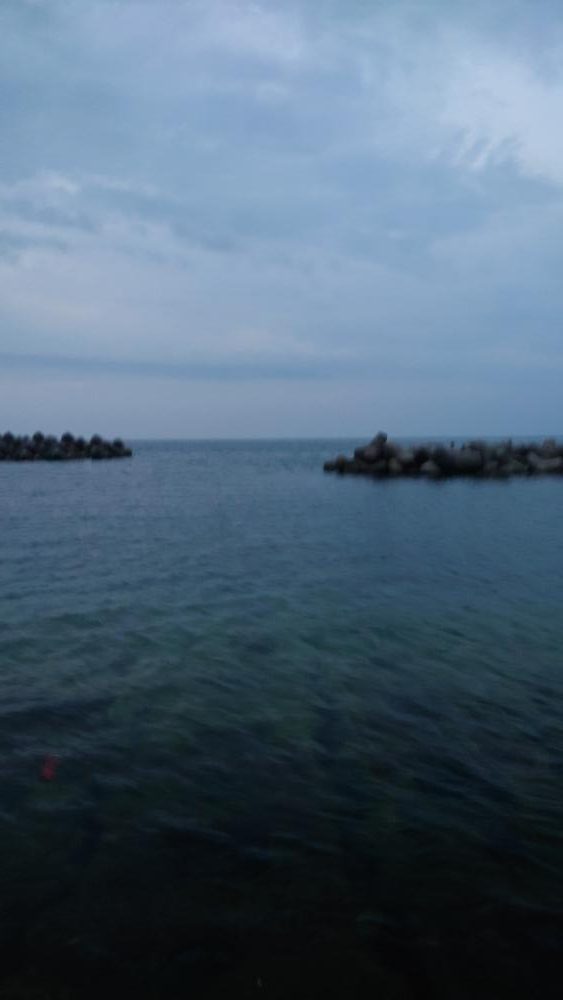 久しぶりにアジング