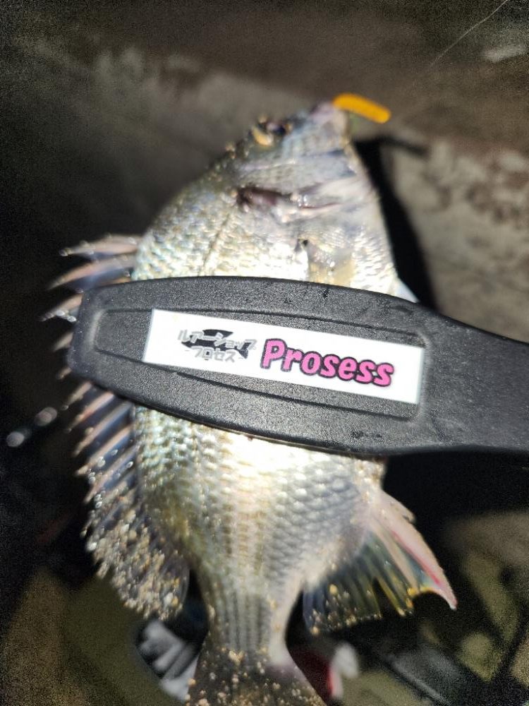 イベントにいってきた～