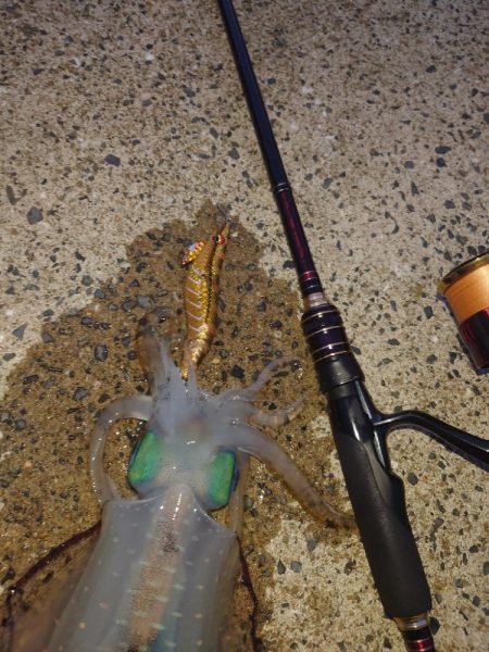 久凪エギングIN対馬