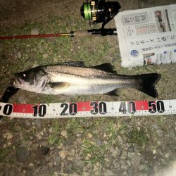 ががっときました。