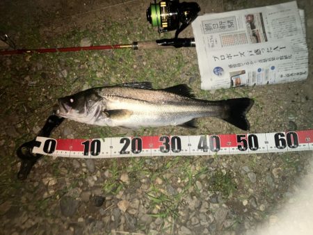 ががっときました。