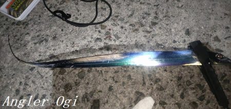 引き釣りでタチウオ2桁！