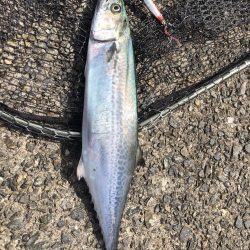 めっちゃバレる