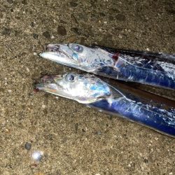 仕事終わりの放課後