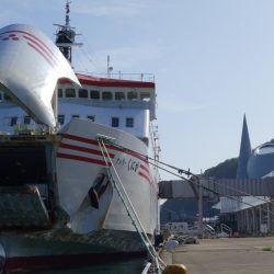 湾内だけど根魚が濃い