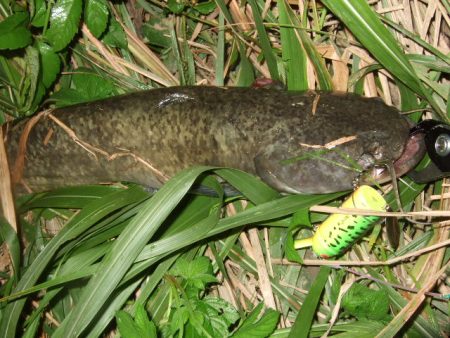 秋のハイシーズンまでもう少し