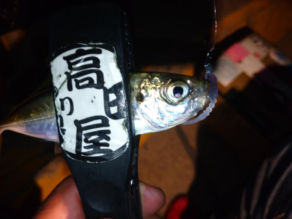 今夜はアジング修行