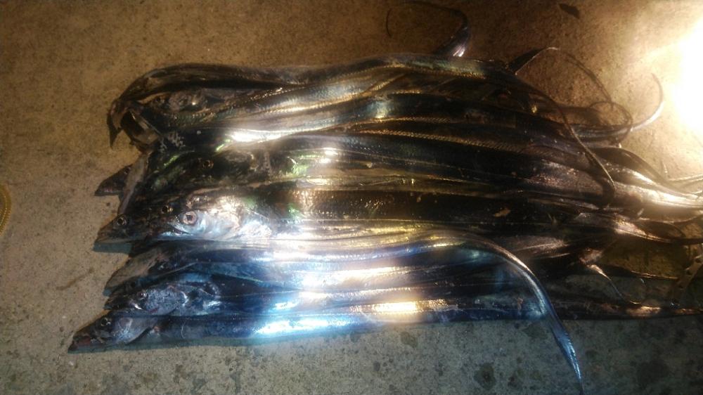 先週よりサイズアップ