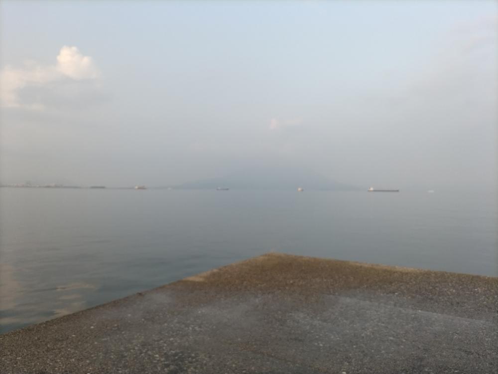 メタルジグでサバとアジ釣れました。