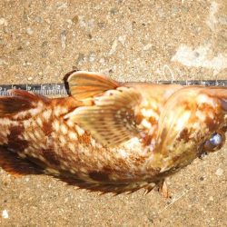 帰りに場所を移動して様子を伺う