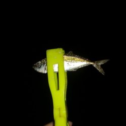 出遅れてしまいました!