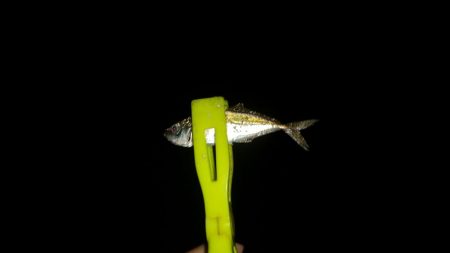 出遅れてしまいました!